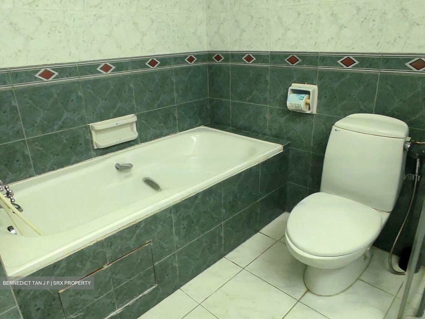 Tiara (D9), Condominium #465029081